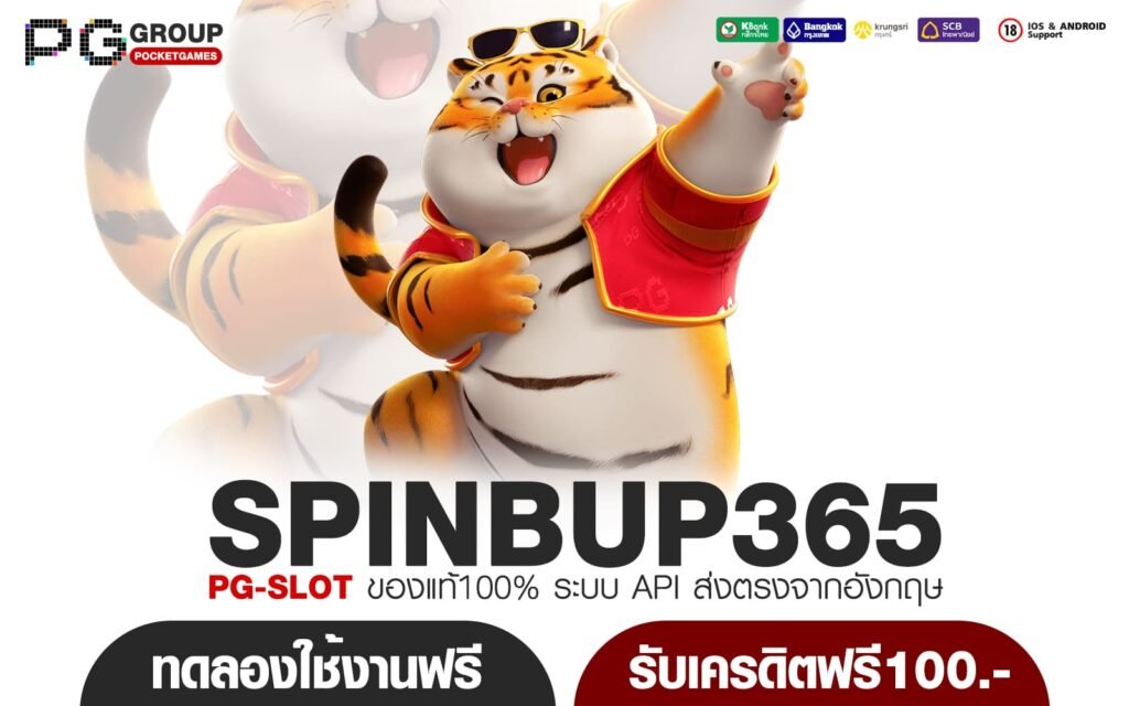 SPINBUP365