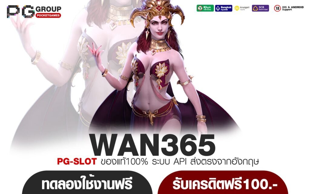 WAN365